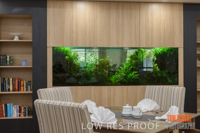 March 2019 / DINING_190305_024