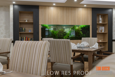 March 2019 / DINING_190305_041