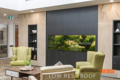 March 2019 / LOBBY_190306_022