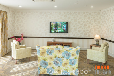 March 2019 / LOUNGE_190305_006