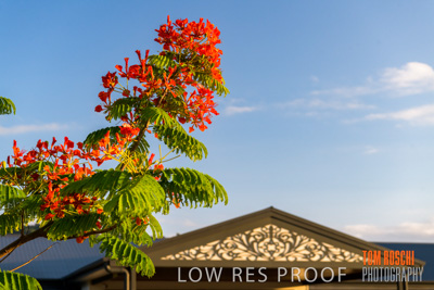 November 2019 / EH_EXTERIORS_191124_055