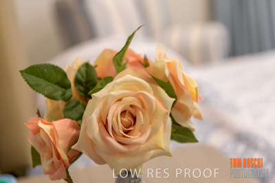 November 2019 / EH_BED_A01_Signature_191124_024