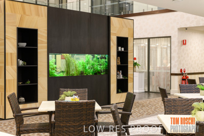 November 2019 / EH_CAFE_191124_004