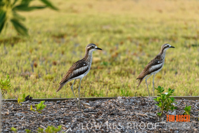 November 2019 / EH_DETAILS_191124_001