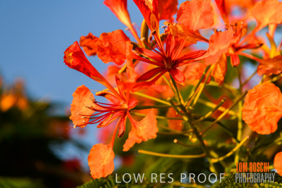 November 2019 / EH_DETAILS_191124_003