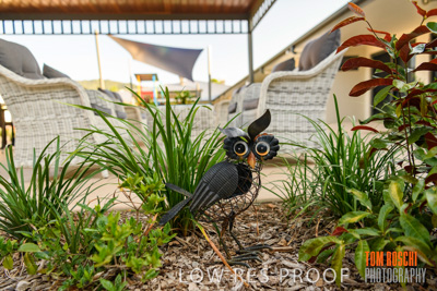 November 2019 / EH_DETAILS_191124_014