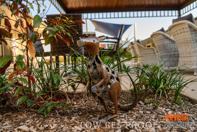 November 2019 / EH_DETAILS_191124_023