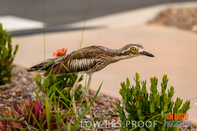 November 2019 / EH_DETAILS_191125_024