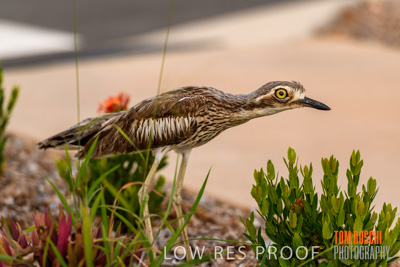 November 2019 / EH_DETAILS_191125_025