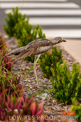 November 2019 / EH_DETAILS_191125_026