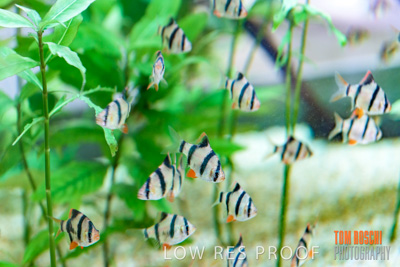 November 2019 / EH_DINING_191125_090