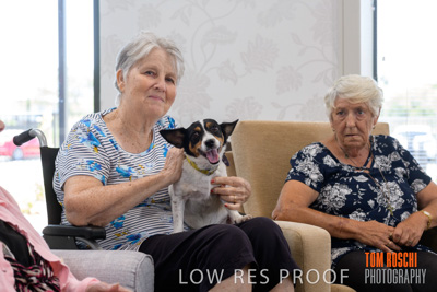 November 2019 / EH_PUPPY_VISIT_191125_016