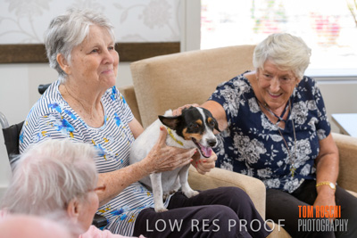 November 2019 / EH_PUPPY_VISIT_191125_019