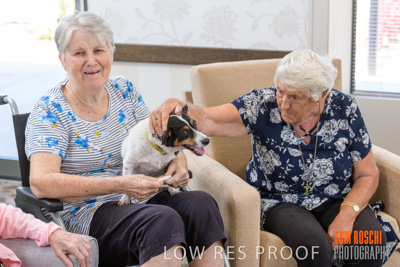 November 2019 / EH_PUPPY_VISIT_191125_020