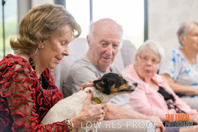 November 2019 / EH_PUPPY_VISIT_191125_029