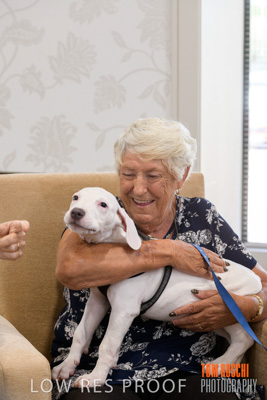 November 2019 / EH_PUPPY_VISIT_191125_034