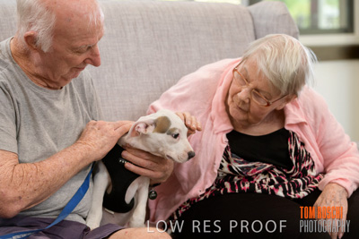 November 2019 / EH_PUPPY_VISIT_191125_049