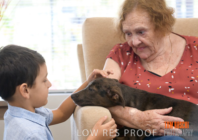 November 2019 / EH_PUPPY_VISIT_191125_050