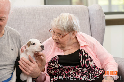 November 2019 / EH_PUPPY_VISIT_191125_053