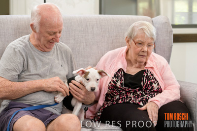 November 2019 / EH_PUPPY_VISIT_191125_055