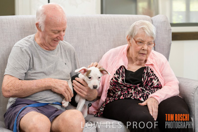 November 2019 / EH_PUPPY_VISIT_191125_056