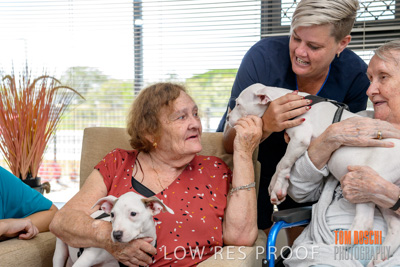 December 2019 / EH_PUPPY_VISIT_191203_066