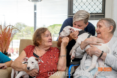 December 2019 / EH_PUPPY_VISIT_191203_067