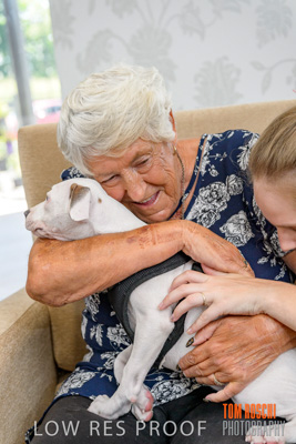 December 2019 / EH_PUPPY_VISIT_191203_068