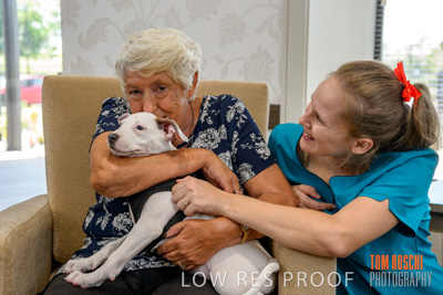 December 2019 / EH_PUPPY_VISIT_191203_073