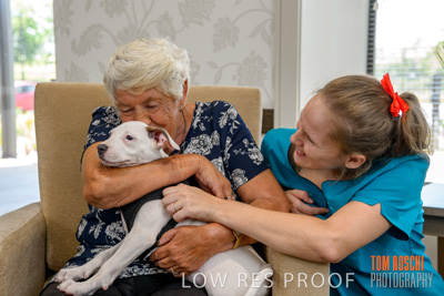 December 2019 / EH_PUPPY_VISIT_191203_074