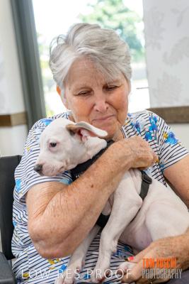 December 2019 / EH_PUPPY_VISIT_191203_080