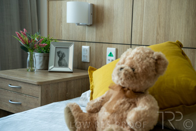 March 2022 / BED-2_220308_080