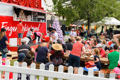 CAROLS_ADL_2018_85E3231