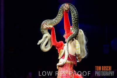 JBI_DISCOVERY_PARKS_191015_1360