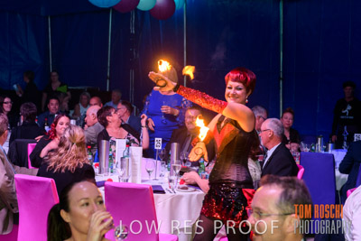 JBI_DISCOVERY_PARKS_191015_951