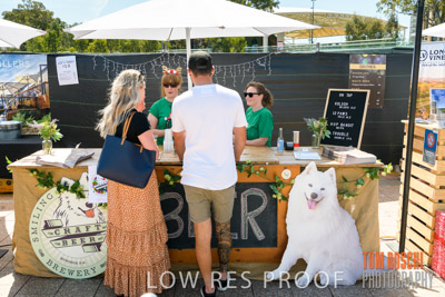 CAROLS_untitled-5202