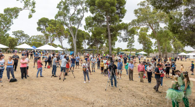 HOPE_RES_open_201213_228