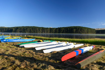 MYPONGA_210328_85N7880