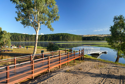 MYPONGA_210328_85N7902