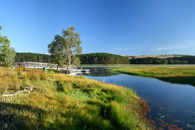 MYPONGA_210328_85N7913