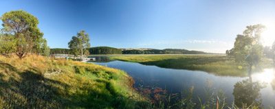 MYPONGA_210328_85N7914-Pano
