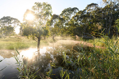 MYPONGA_210328_85N7923