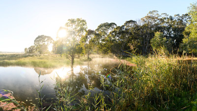MYPONGA_210328_85N7925-Pano