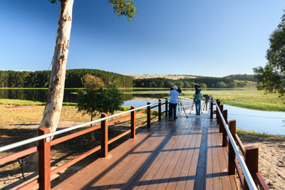 MYPONGA_210328_85N8165