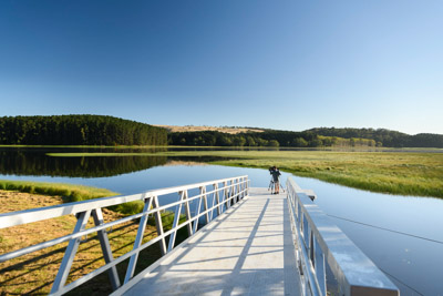 MYPONGA_210328_85N8166