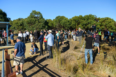 MYPONGA_210328_85N8256