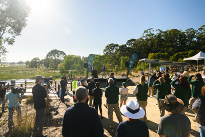 MYPONGA_210328_85N8260