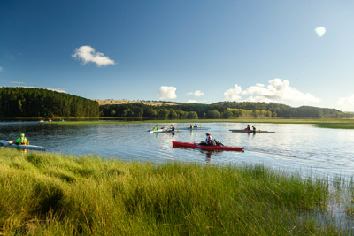 MYPONGA_210328_85N8431