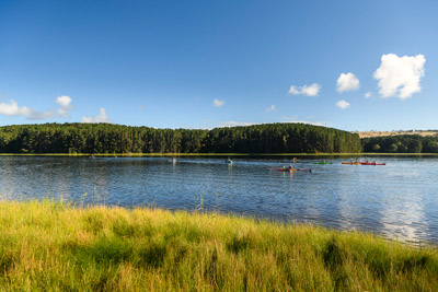 MYPONGA_210328_85N8443