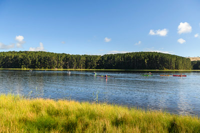 MYPONGA_210328_85N8445